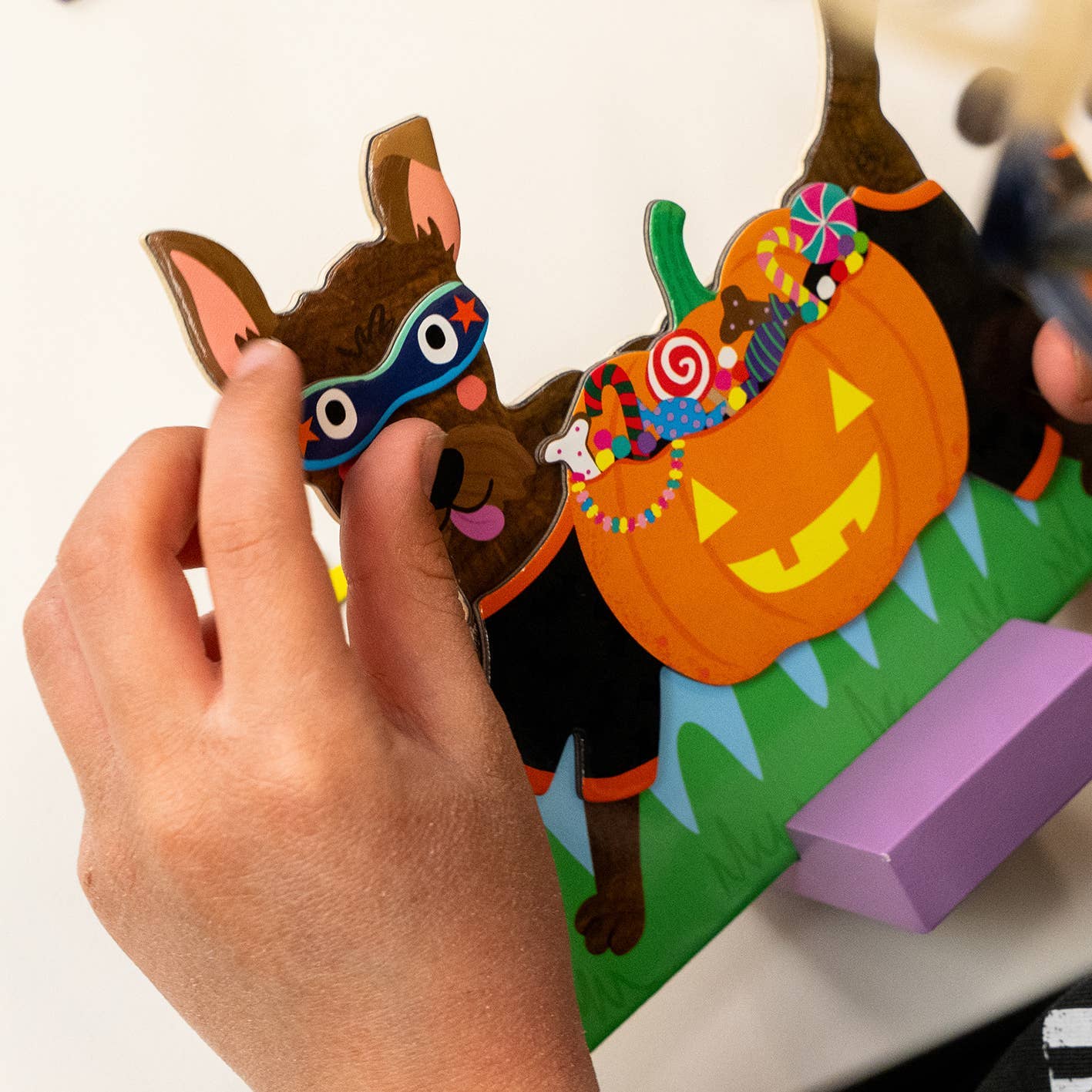 Floss & Rock Magnetic Dress Up - Pets